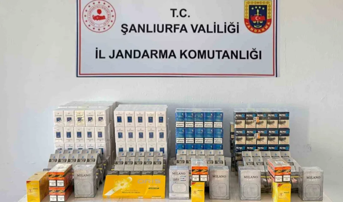 Şanlıurfa’nın Viranşehir ilçesinde jandarma ekipleri tarafından bin 240 paket sigara