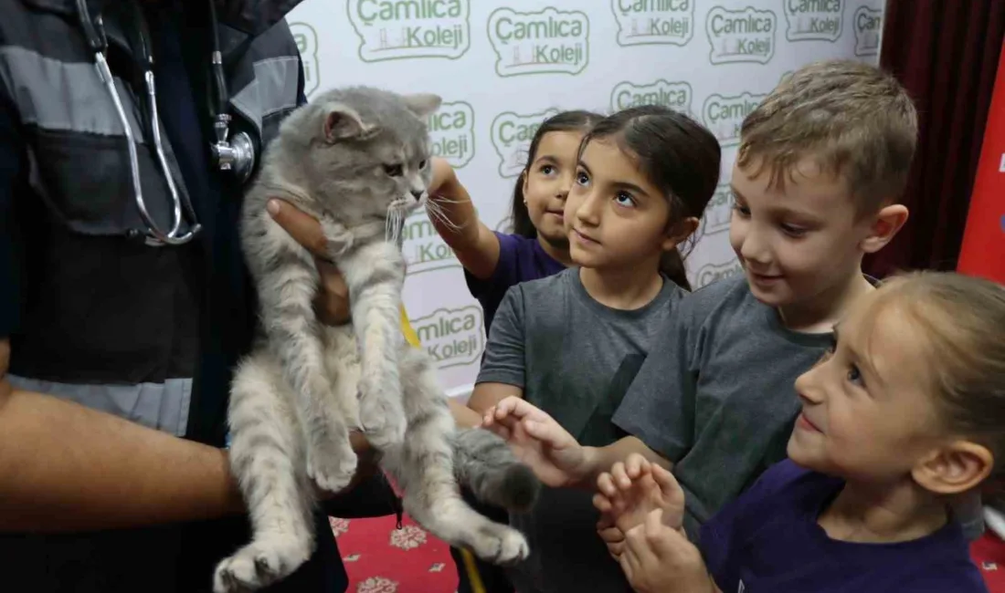 Şanlıurfa Büyükşehir Belediyesi, 4 Ekim Dünya Hayvanları Koruma Günü dolayısıyla