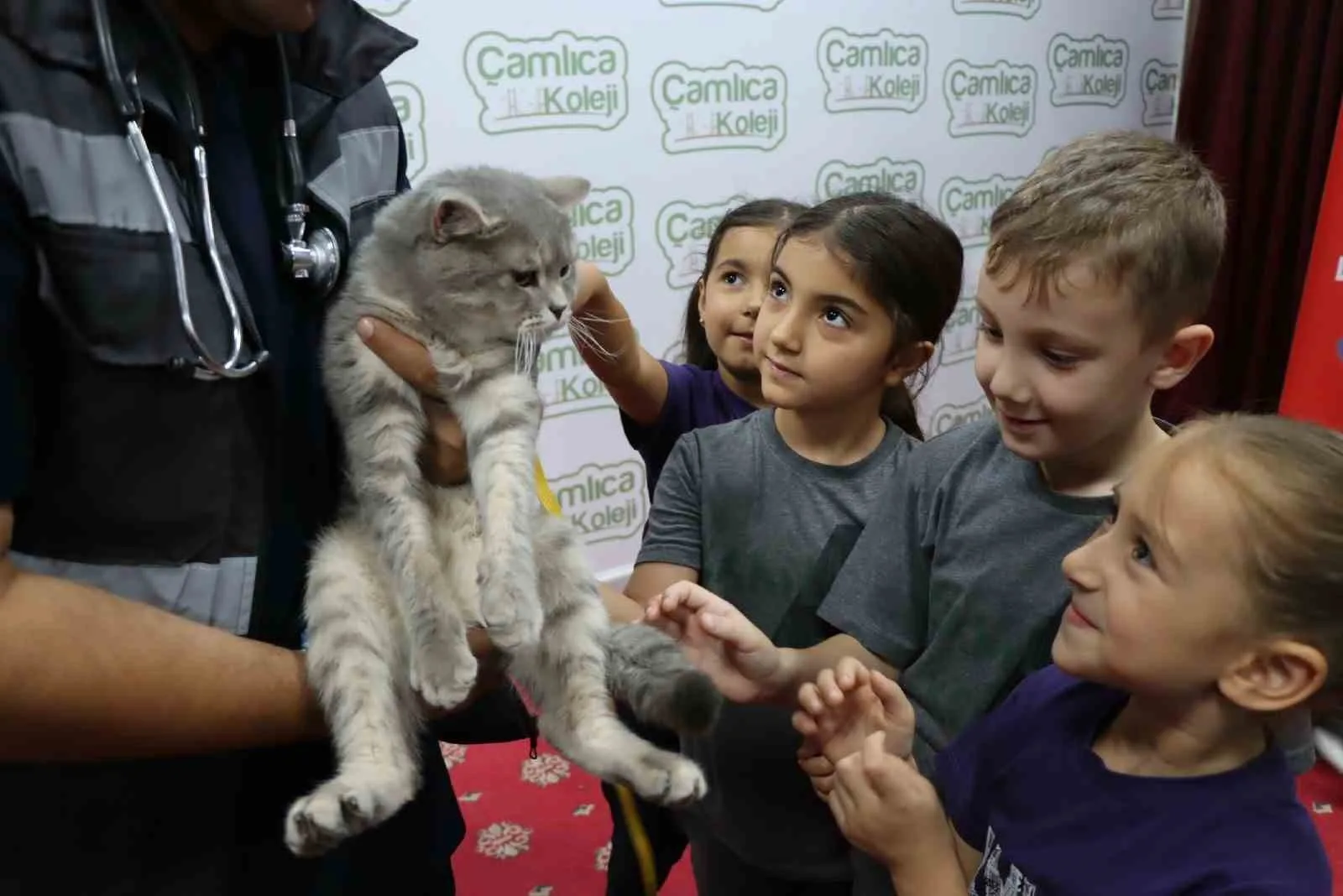 Şanlıurfa Büyükşehir Belediyesi, 4 Ekim Dünya Hayvanları Koruma Günü dolayısıyla