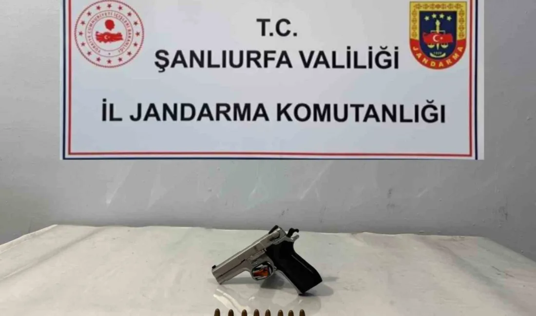 Şanlıurfa’nın Viranşehir ilçesinde jandarma ekipleri tarafından silah ve mermi ele