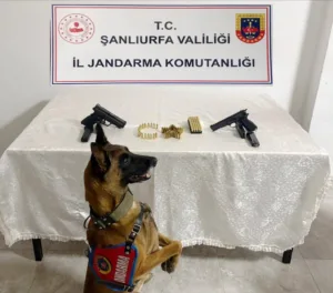 Şanlıurfa’da düzenlenen silah kaçakçılığı operasyonunda 8 şüpheli gözaltına alındı. Şanlıurfa