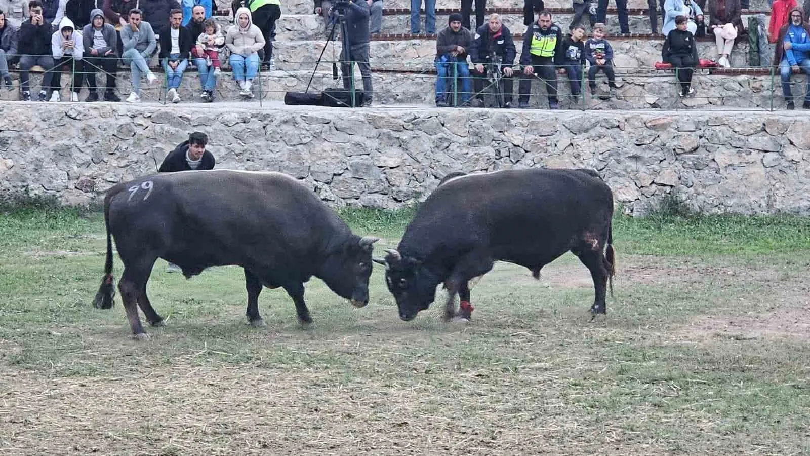 Artvin’in Ardanuç ilçesinde bu yıl 4’üncüsü düzenlenen Kültür ve Sanat