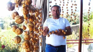 Manisa’nın Sarıgöl ilçesinde her yıl sonbahar aylarında yapılan cennet elması
