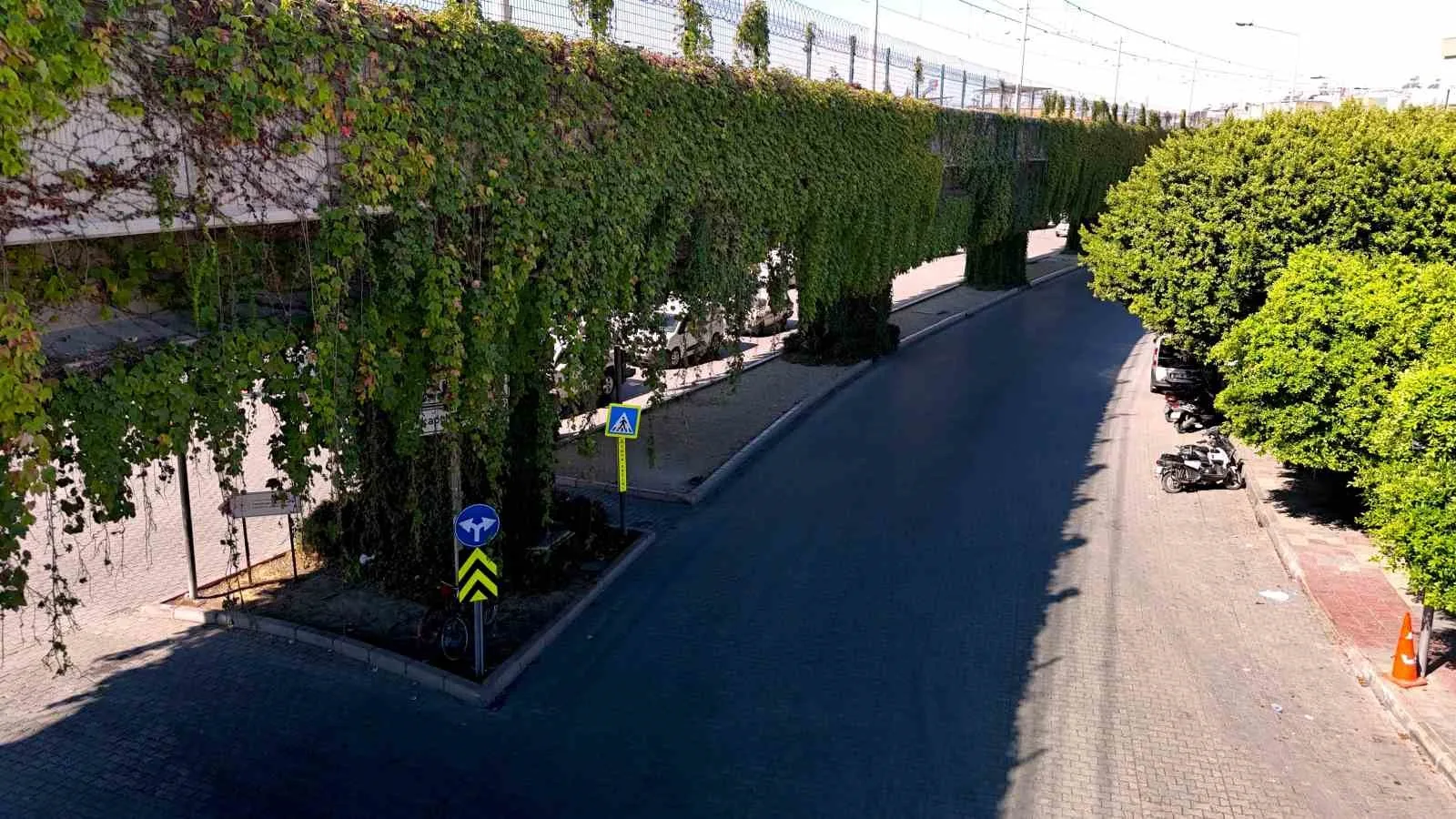 Adana’da sarmaşıklarla kaplı metro yolu, görenleri hayran bırakırken, kentin beton