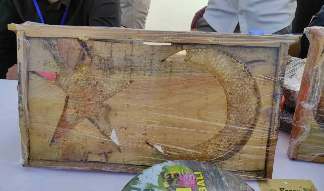 Batman’ın Sason ilçesinde bir arıcının Türk bayrağı motifli ay yıldızlı