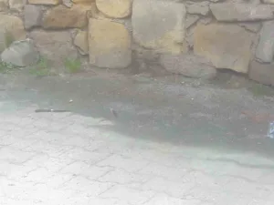 Kastamonu’da 1 kişinin 6 yerinden bıçaklanarak yaralandığı olayla ilgili yargılanan