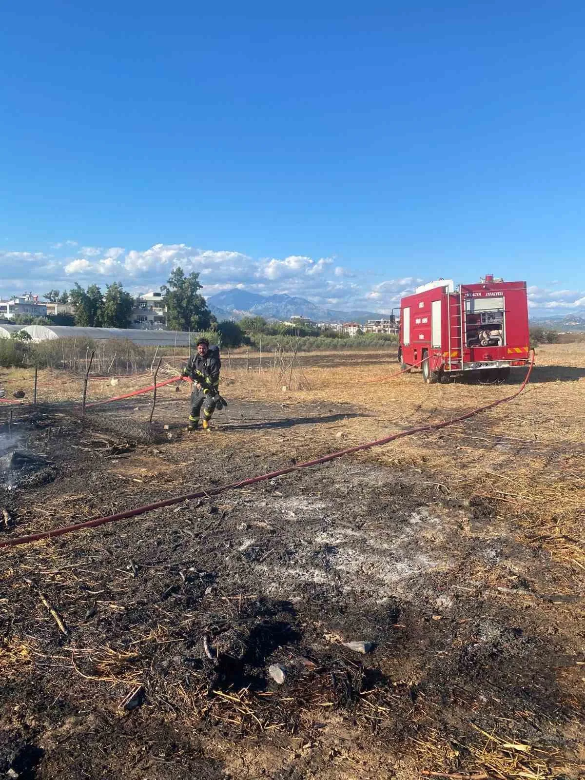 Antalya’nın Serik ilçesinde bir ahırda çıkan yangında 1 koyun telef