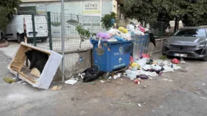 Adana’nın Seyhan ilçesinde belediyenin toplamadığı çöpler, çevreyi rahatsız ediyor. CHP’li