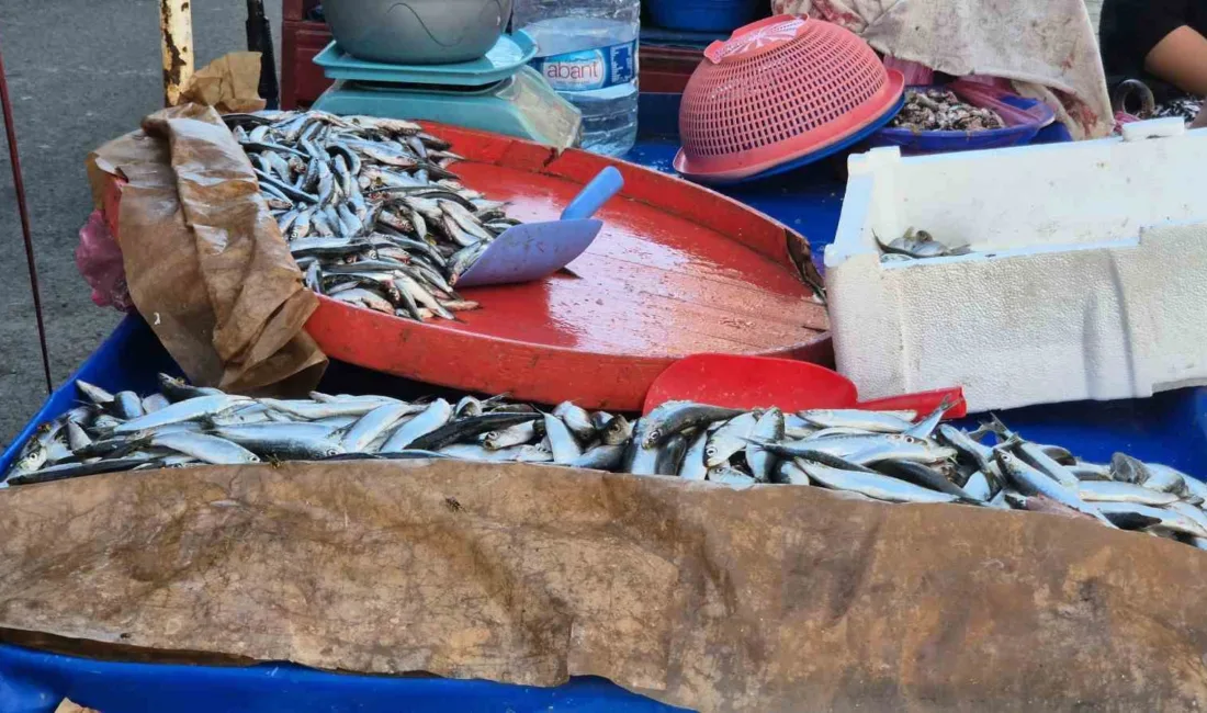 Tekirdağ’ın Süleymanpaşa ilçesinde sokak aralarında uygun fiyata seyyar balık satışı