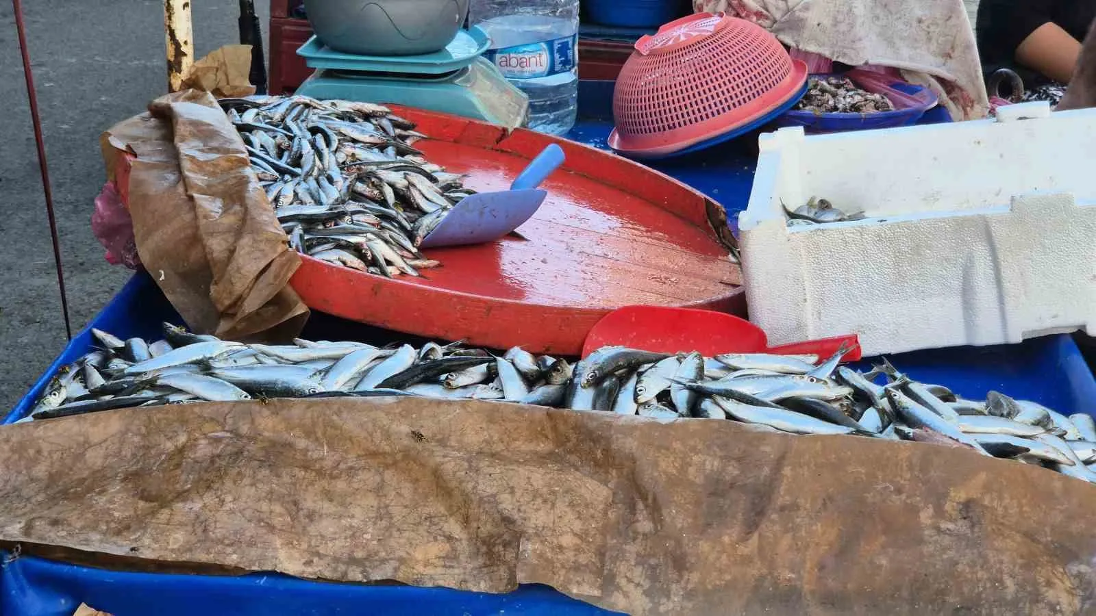 Tekirdağ’ın Süleymanpaşa ilçesinde sokak aralarında uygun fiyata seyyar balık satışı