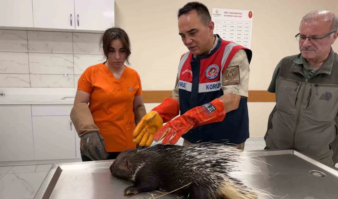 Siirt İl Jandarma Komutanlığı Çevre, Doğa ve Hayvanları Koruma Timi