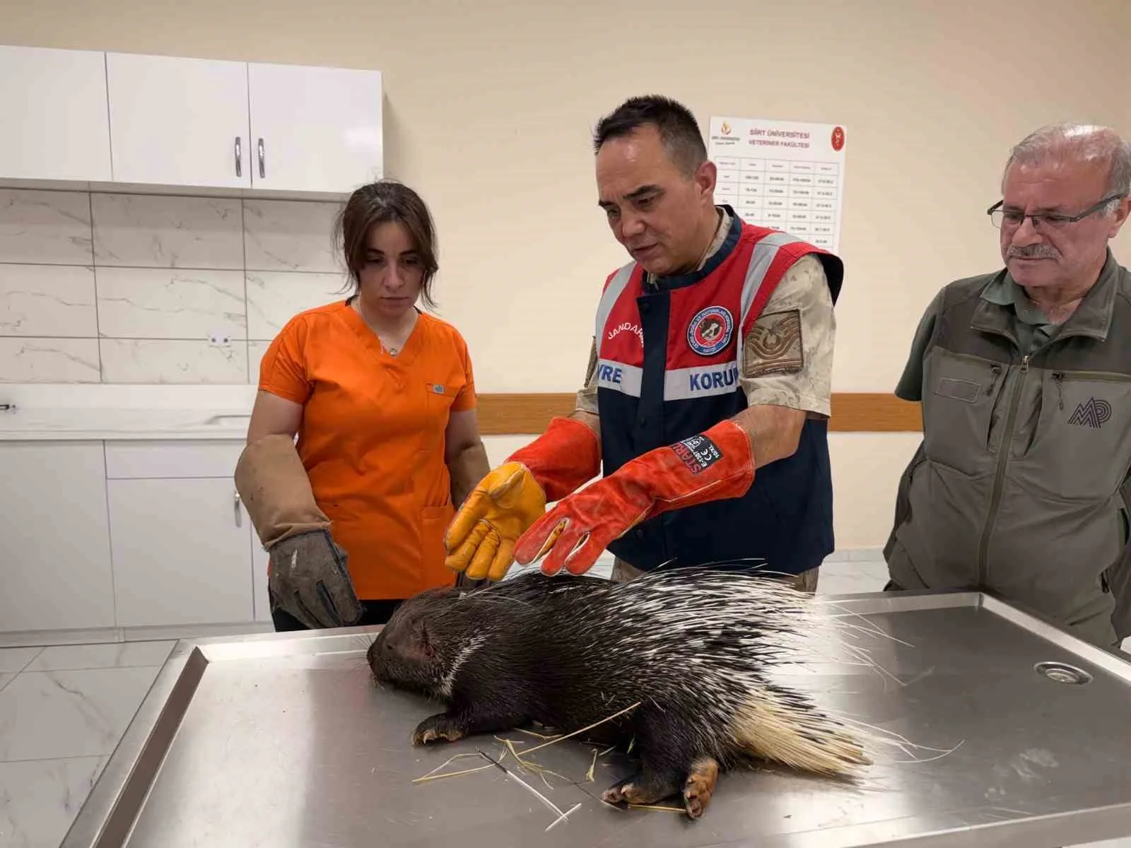 Siirt İl Jandarma Komutanlığı Çevre, Doğa ve Hayvanları Koruma Timi