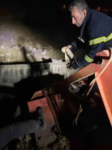 Siirt’te atık su arıtma kanalına düşen inek, itfaiye ekiplerinin halatlı
