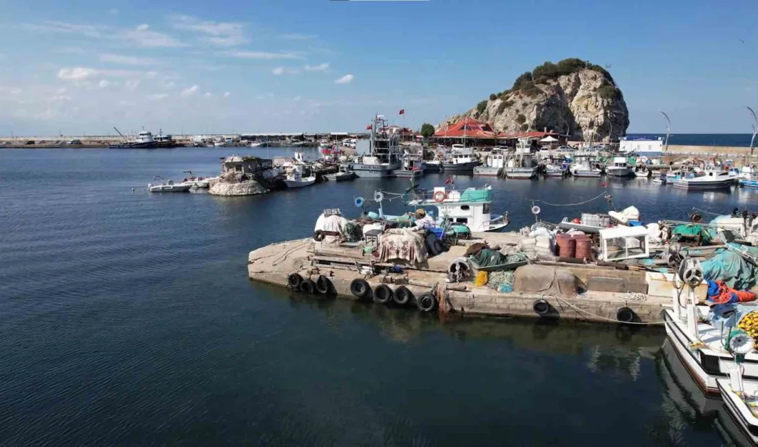 Şile’de bu yıl palamut avı beklenenin çok altında kaldı. Balıkçılar,