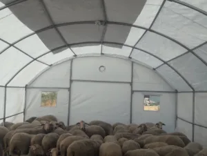 Balıkesir’in Sındırgı ilçesinde 10 Ağustos’ta meydana gelen deprem ve ardından