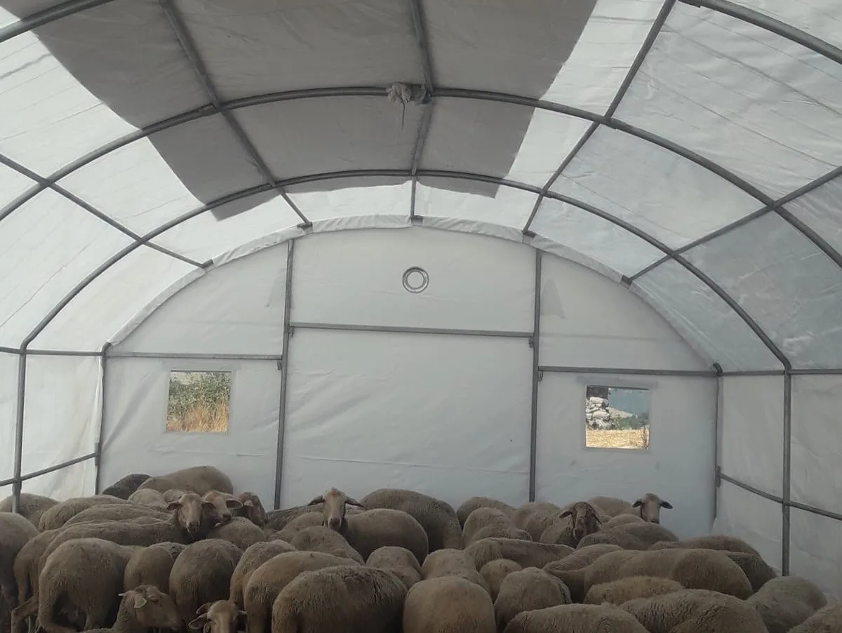 Balıkesir’in Sındırgı ilçesinde 10 Ağustos’ta meydana gelen deprem ve ardından