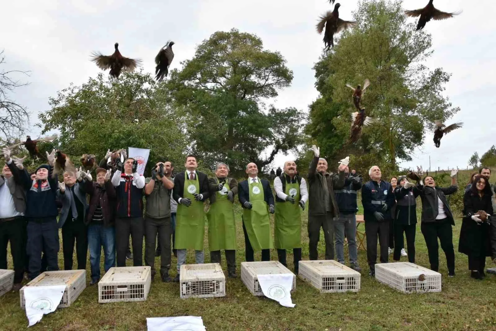 Sinop’ta yaban hayatını desteklemek amacıyla 250 sülün kuşu doğal yaşam