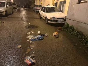 Sinop’ta gündüz saatlerinde sokak ortasına bırakılan çöpler tepki çekti. Şahısların