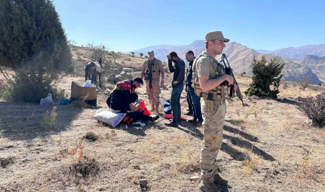 Şırnak’ın Beytüşşebap ilçesi Kovankaya bölgesinde hayvancılık yapan genç kadın attan