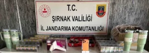 Şırnak İl Jandarma Komutanlığı ekipleri, 13-19 Ekim 2025 tarihleri arasında
