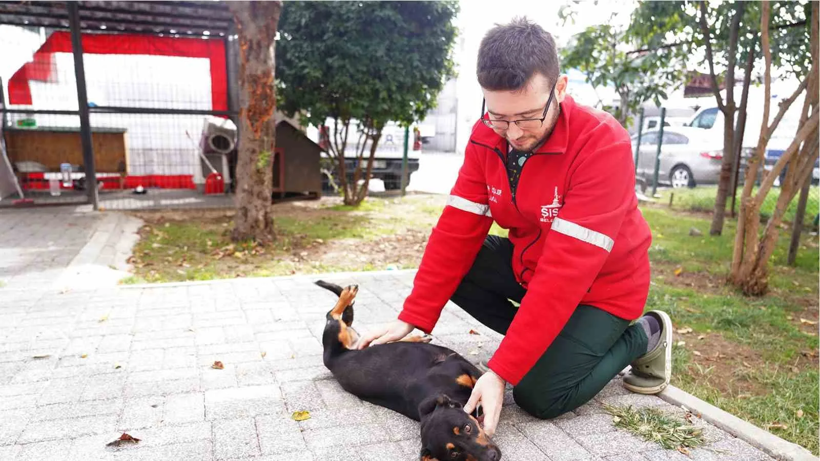 Şişli Belediyesi’nin Sokak Hayvanları Rehabilitasyon Merkezi’nde, sahipsiz hayvanların kısırlaştırma, aşılama,