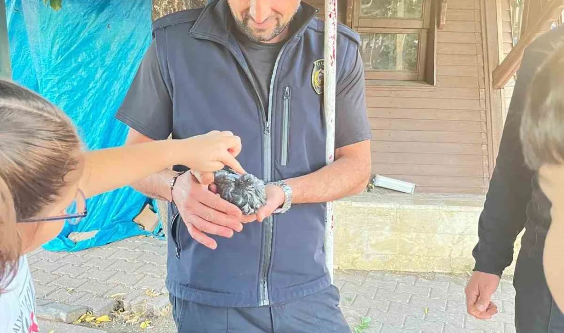 Sivas’ta fıskiyeli süs havuzunun boru hattına sıkışan kuş, itfaiye ekipleri