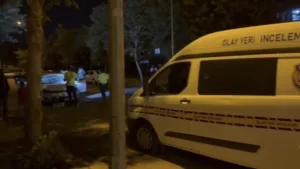 Şanlıurfa’nın Siverek ilçesinde, yolun karşısına geçmeye çalışan anne ve kızına