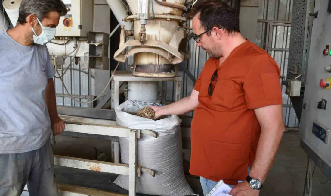 Söke Belediyesi Veteriner İşleri Müdürlüğü, sokak hayvanları için örnek bir