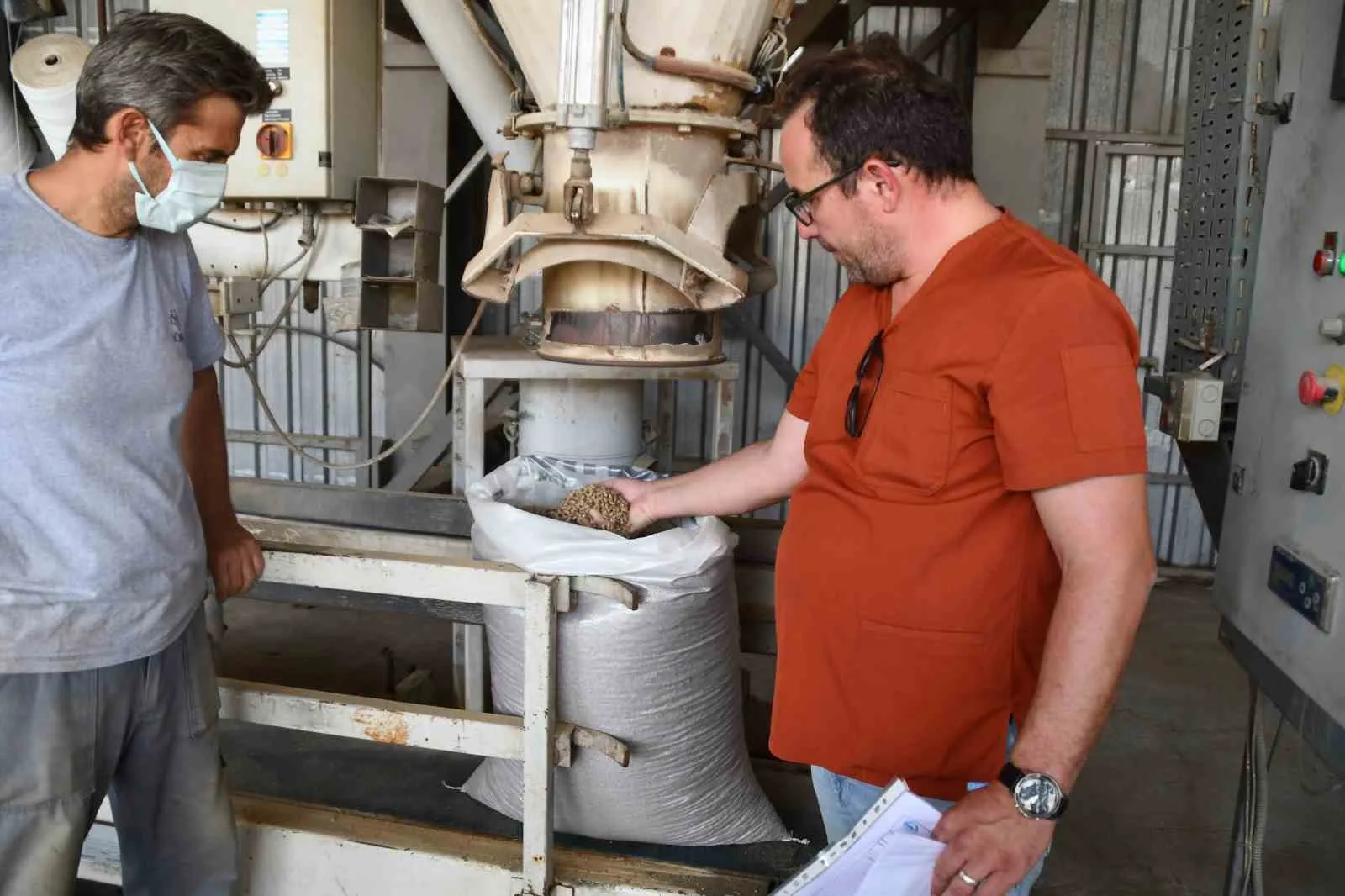 Söke Belediyesi Veteriner İşleri Müdürlüğü, sokak hayvanları için örnek bir