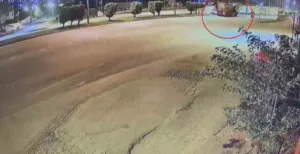 Hatay’ın Defne ilçesinde su tankeri ile kamyonet çarpıştı. Kamyonet sürücüsünün