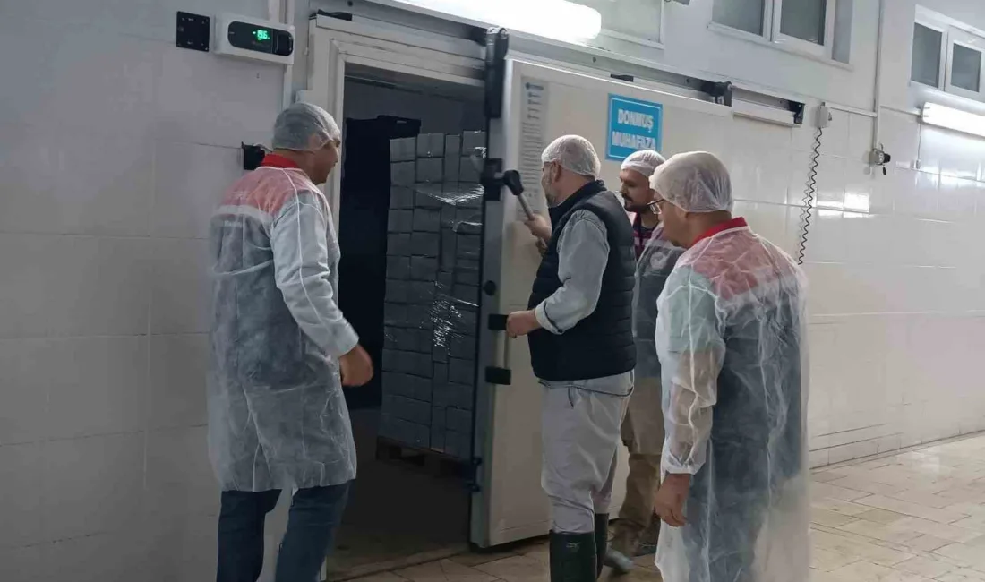 Edirne’nin Enez ilçesinde faaliyet gösteren kabuklu su ürünleri işleme tesislerinde