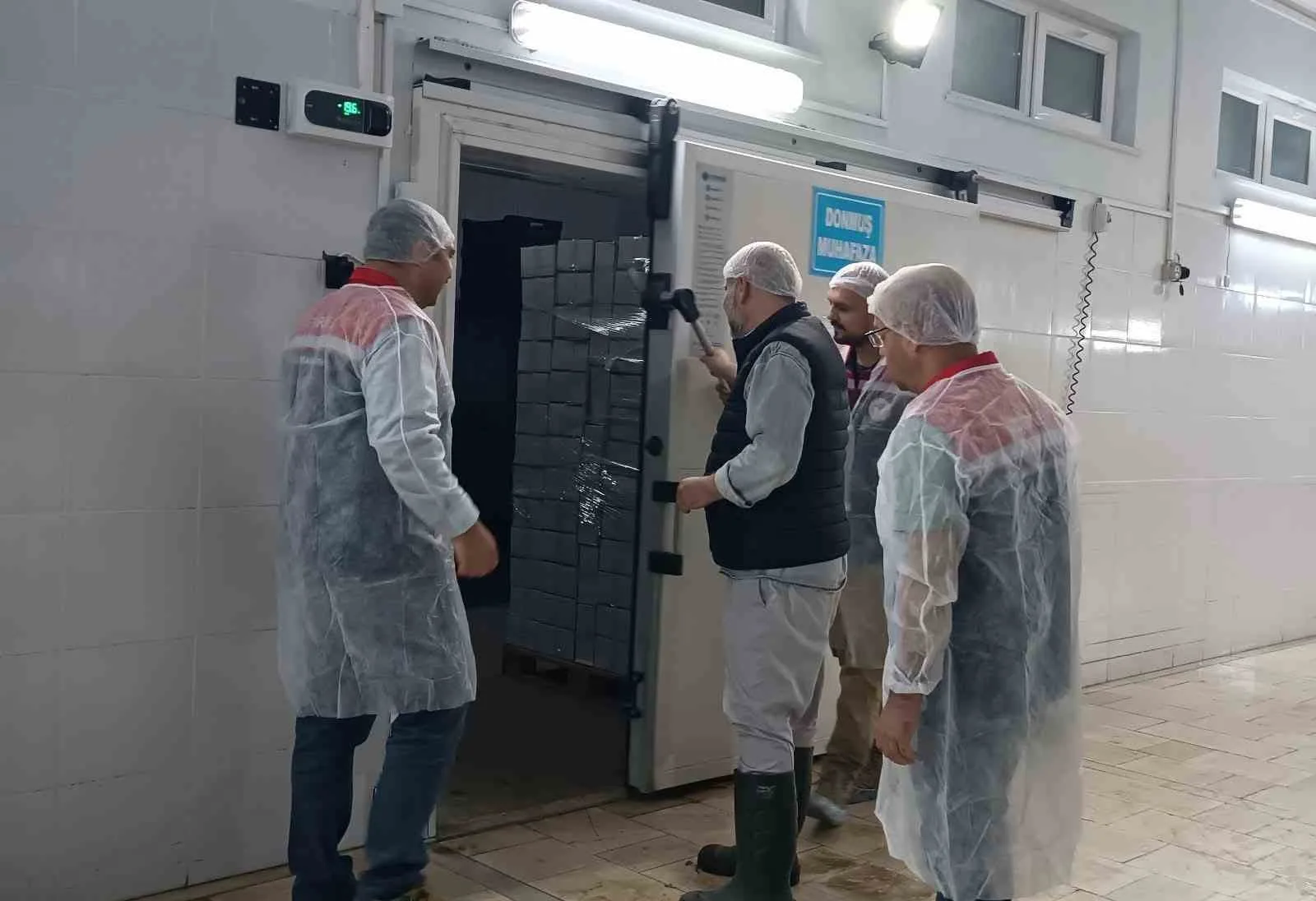 Edirne’nin Enez ilçesinde faaliyet gösteren kabuklu su ürünleri işleme tesislerinde