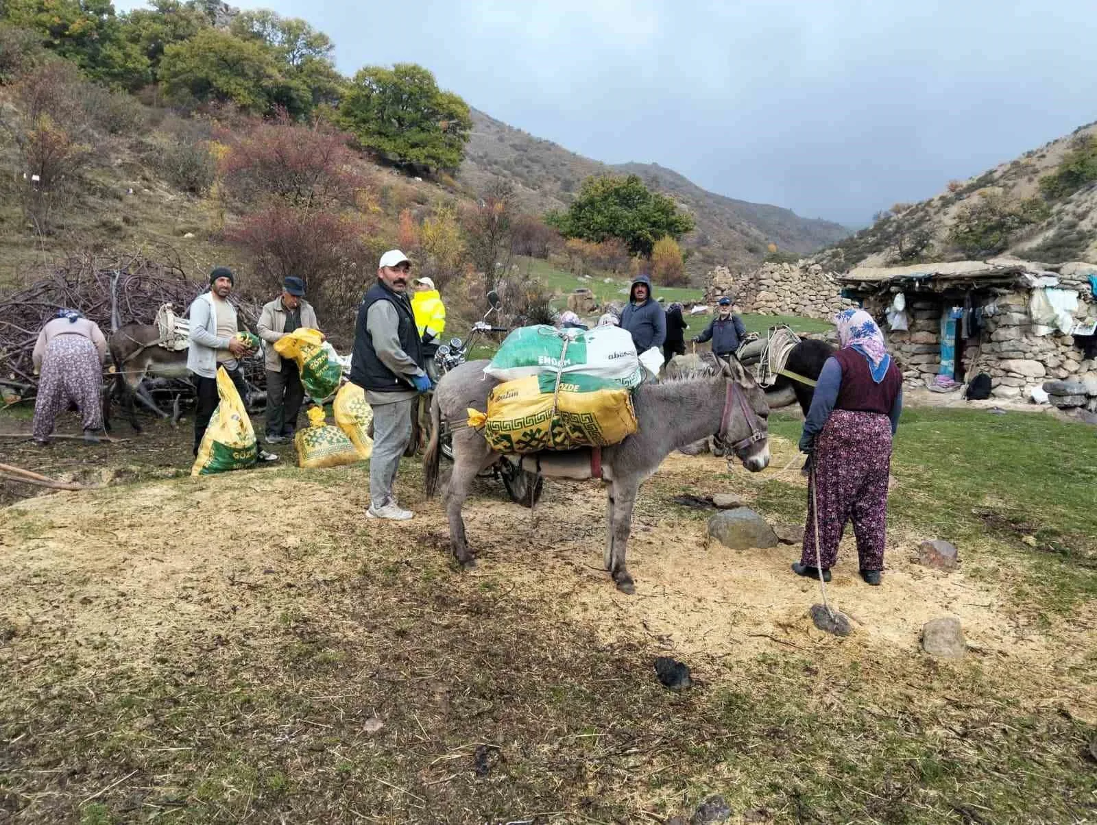 Afyonkarahisar’ın Şuhut ilçesine bağlı Tekkek Köyü’nde sonbaharın gelmesiyle birlikte kestane