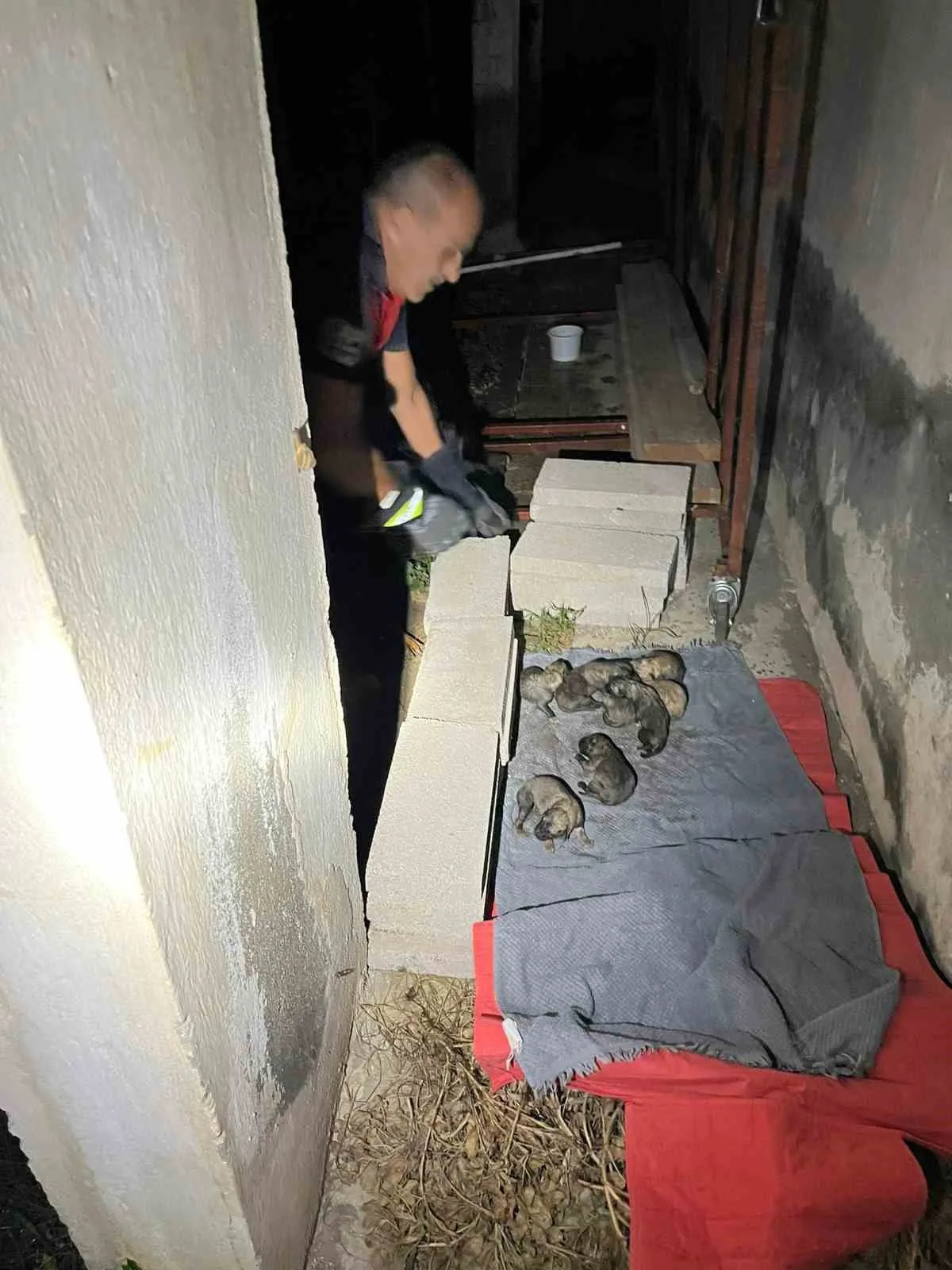 Hatay’ın Samandağ ilçesinde sulama kanalında mahsur kalan anne köpek ve