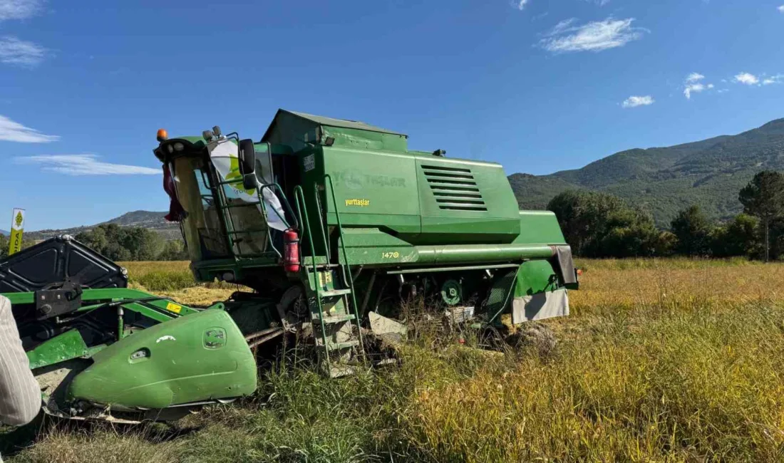 Kastamonu’nun Hanönü ilçesinde TAKE projesi kapsamında ekimi yapılan çeltiğin hasadına