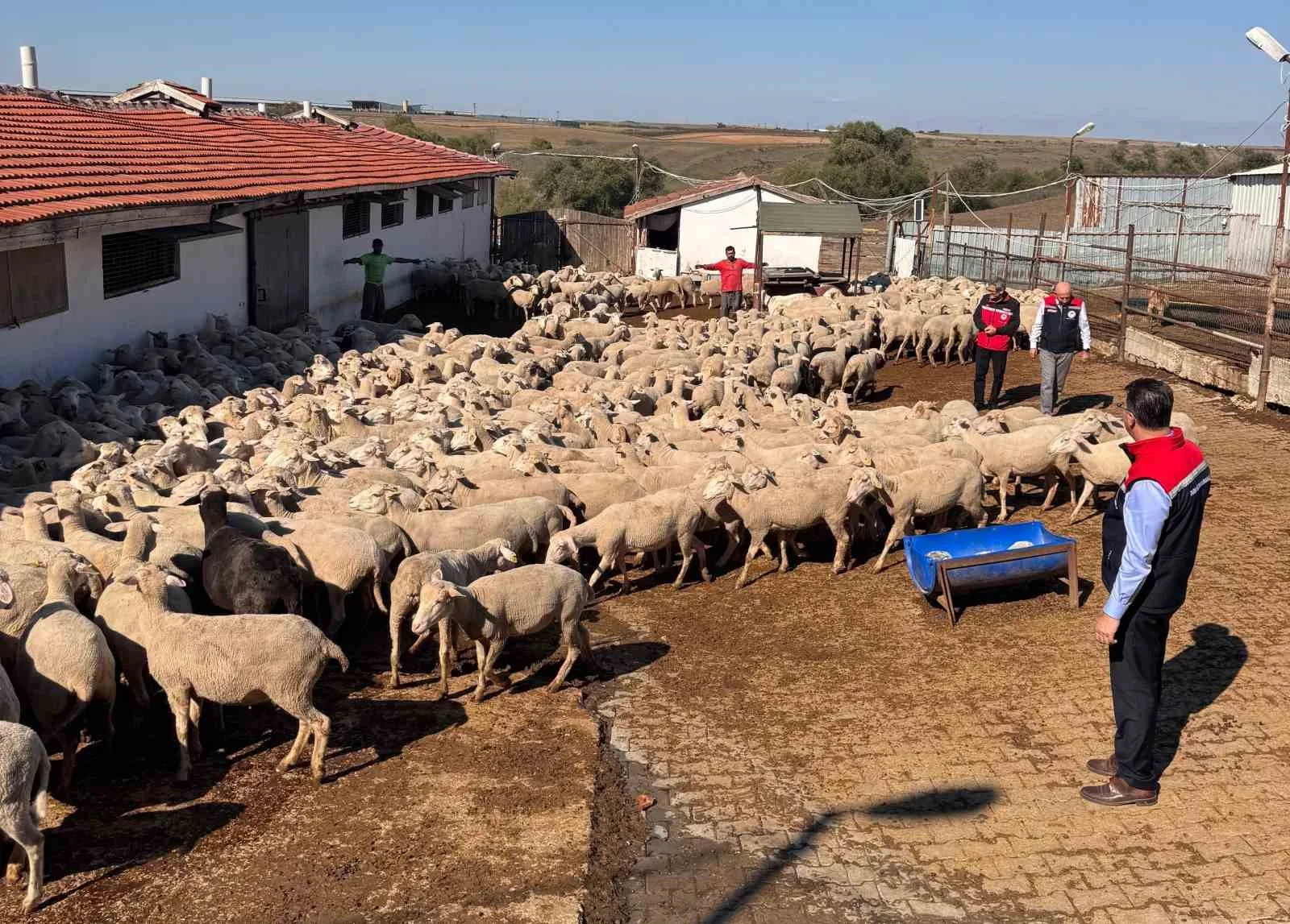 Tekirdağ Tarım ve Orman İl Müdürü Mehmet Aksoy, Çorlu ilçesi