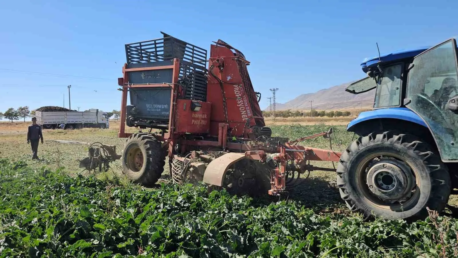 Bitlis’in verimli topraklarıyla öne çıkan Adilcevaz ilçesinde, 2025 yılı şeker