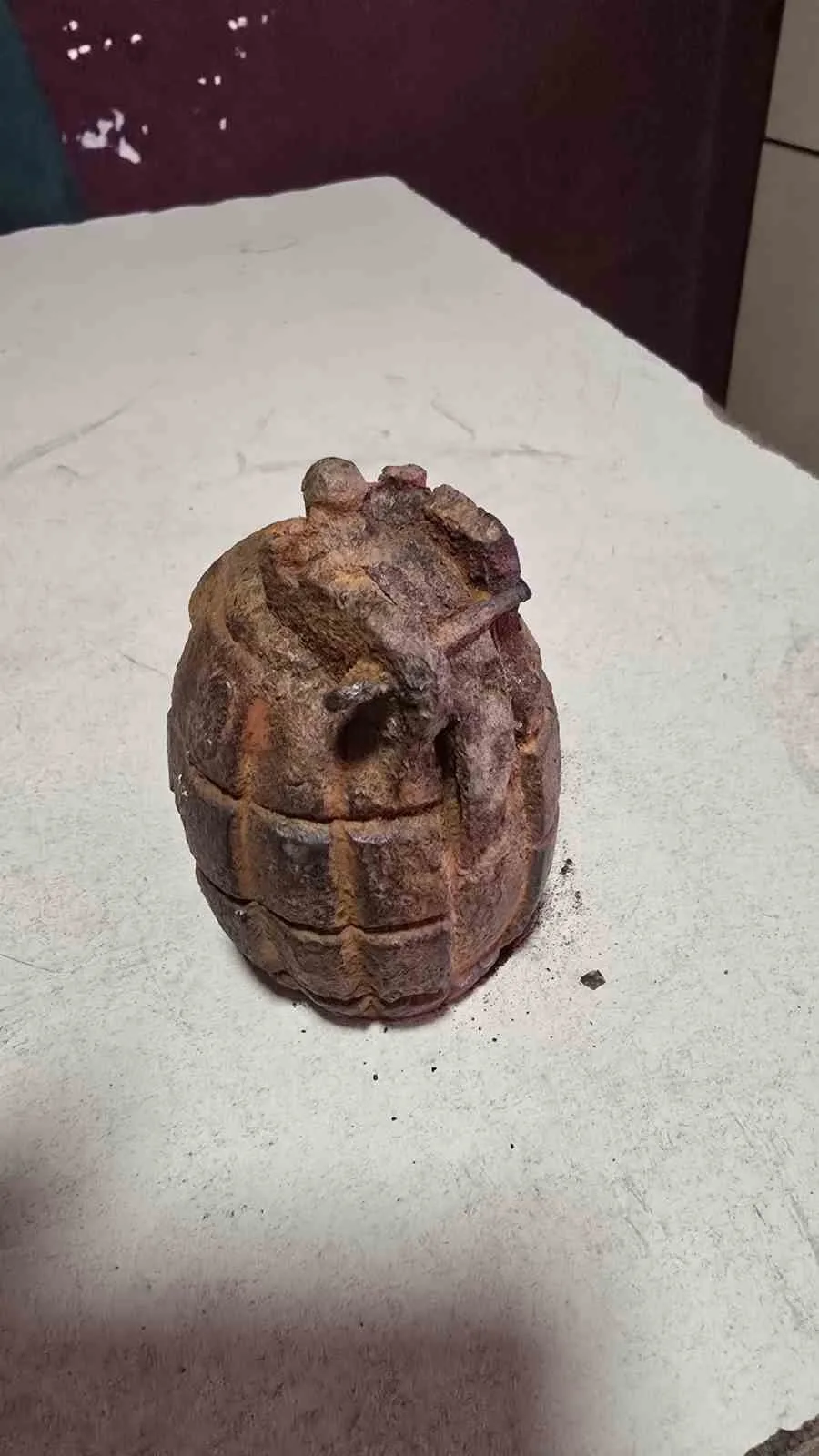 İzmir’in Tire ilçesinde bir çocuk, ailesine ait tarlada pimi üzerinde