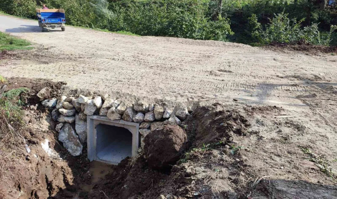 DÜZCE (İHA) – Düzce’de meydana gelebilecek taşkın riskine karşı olarak