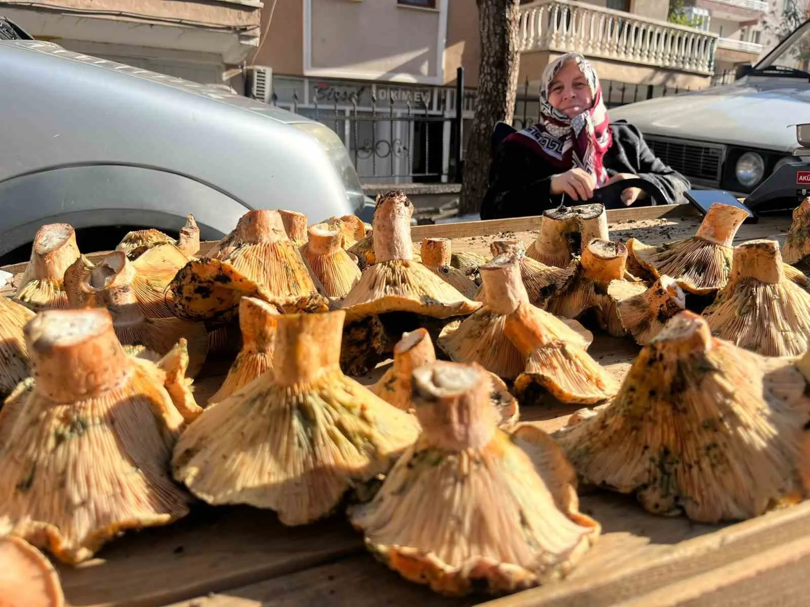Kütahya’nın Tavşanlı ilçesindeki semt pazarında, yörenin gözde mantarları tezgahlardaki yerini