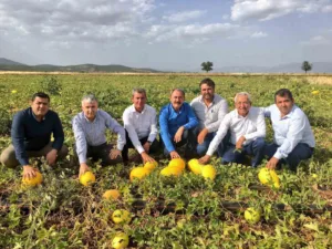 Denizli’nin Acıpayam ilçesinde yetişen ve uygun fiyatıyla tüketicisini memnun eden