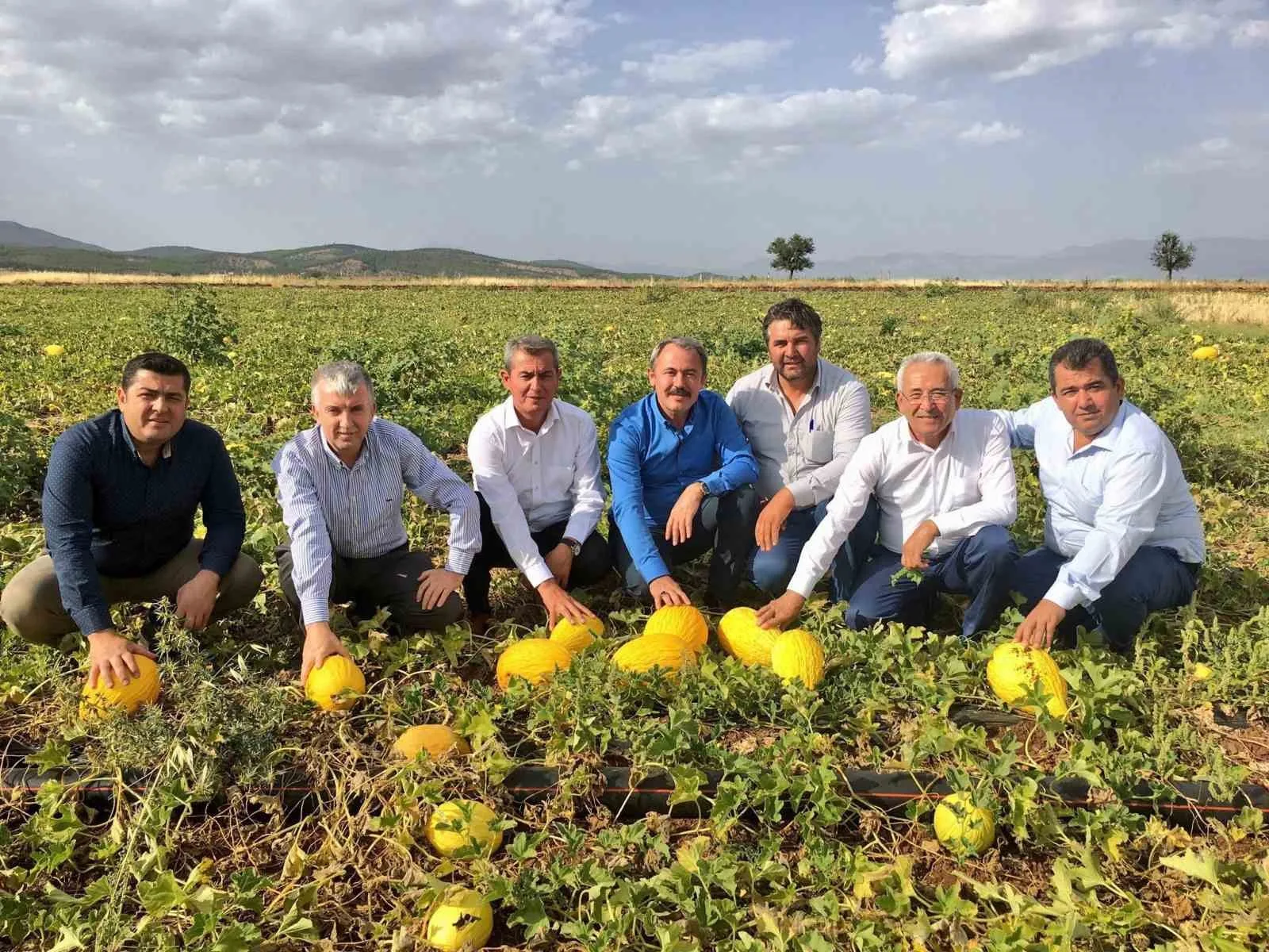 Denizli’nin Acıpayam ilçesinde yetişen ve uygun fiyatıyla tüketicisini memnun eden