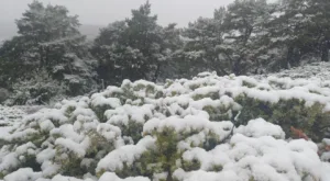 Tokat kent merkezinde hava sıcaklığının 6 dereceye kadar düştüğü sabah
