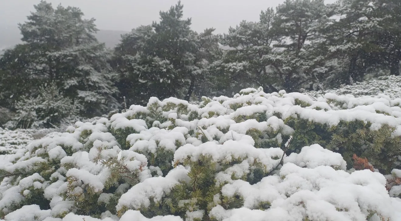 Tokat kent merkezinde hava sıcaklığının 6 dereceye kadar düştüğü sabah