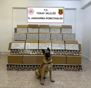 Tokat İl Jandarma Komutanlığı ekiplerince Yeşilyurt ilçesinde gerçekleştirilen operasyonda 1