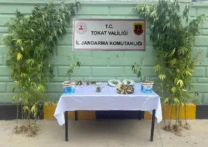 Tokat’ta jandarma sorumluluk sahasında son 2 ay içerisinde yapılan uygulama,