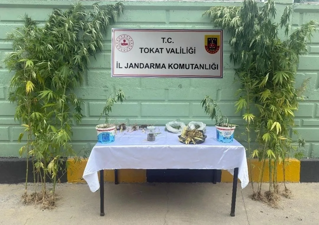 Tokat’ta jandarma sorumluluk sahasında son 2 ay içerisinde yapılan uygulama,