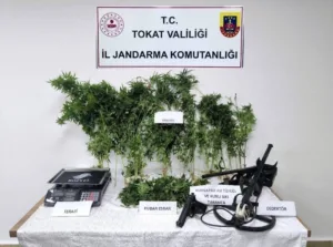 Tokat İl Jandarma Komutanlığı ekiplerince uyuşturucu madde imal ve ticaretine