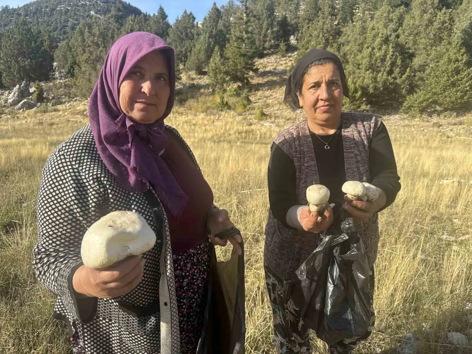 Antalya’nın Akseki ilçesinde etkili olan yağışların ardından ormanlık alanlarda ve
