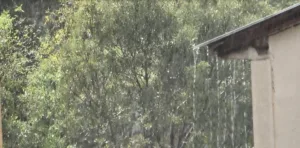 Tunceli’de sağanak yağış etkili oldu. Tunceli’de kısa süreli sağanak yağış